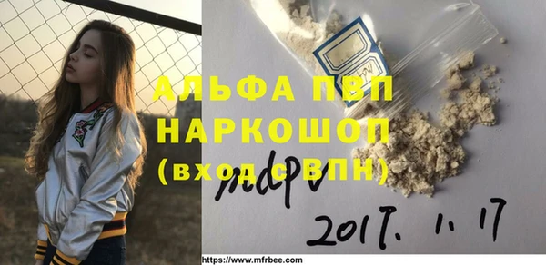 СК Абинск